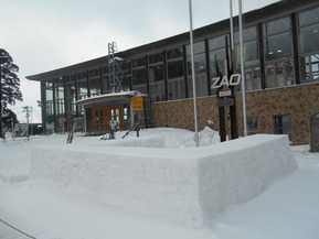 DSCN5239
