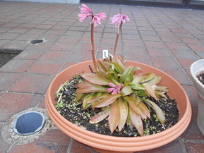 DSCN6383