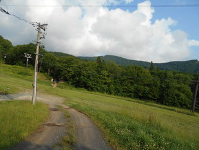 DSCN0995