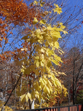 DSCN1463