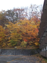 DSCN1181