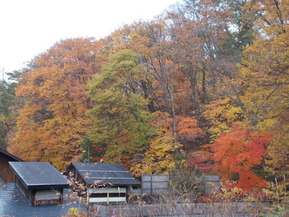 DSCN1184