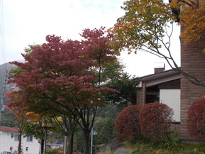 DSCN0777