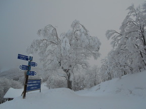DSCN0568