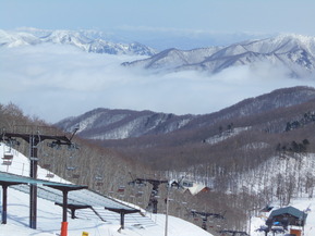 DSCN0783