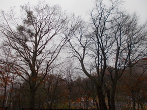 DSCN1278