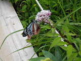 7874e57f.jpg