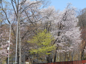 DSCN0247