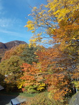 DSCN1089