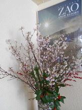 DSCN0856