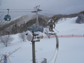 DSCN0965