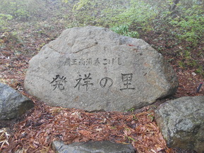 DSCN6536