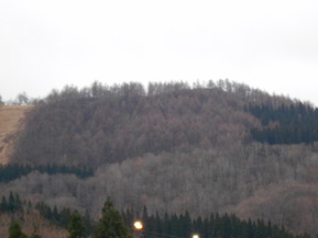 DSCN8122