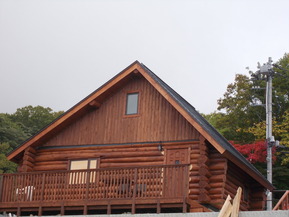 DSCN0779