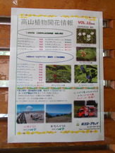 DSCN0389