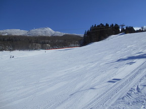 DSCN5115