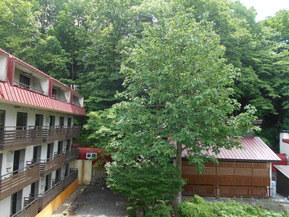 DSCN2411