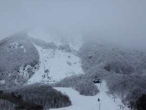 DSCN0666
