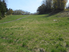 DSCN6523