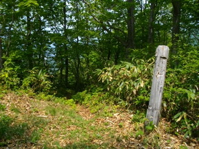 IMGP0797