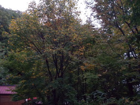 DSCN0700