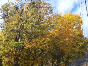 DSCN0998