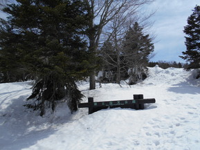 DSCN0834