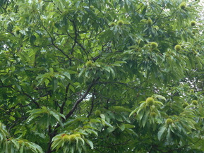 DSCN2874