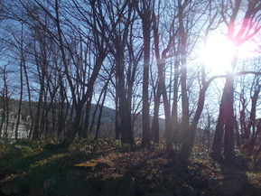 DSCN1381