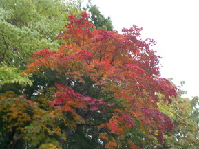 DSCN0767