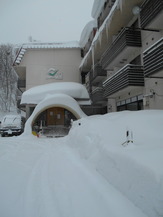 DSCN4608