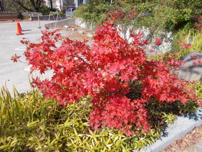 DSCN0896