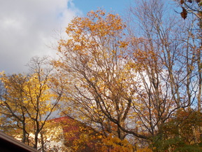 DSCN1107