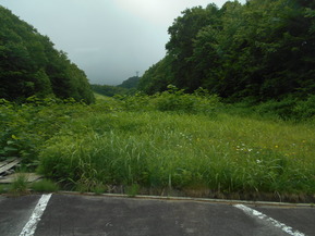 DSCN4762