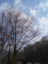 DSCN0131
