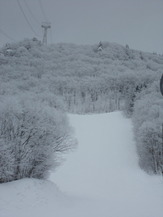 DSCN2188