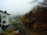 8e684618.jpg