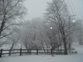 DSCN8593