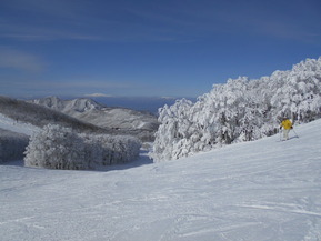 DSCN0571