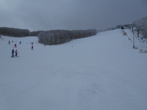 DSCN0433