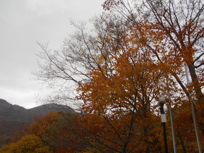 DSCN5865
