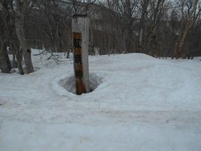 DSCN0037