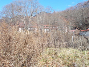 DSCN1354