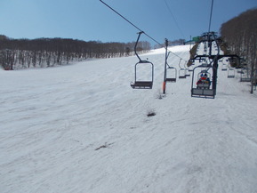 DSCN3619