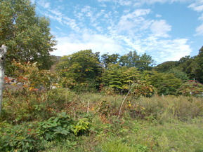 DSCN0746