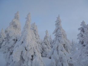 DSCN0545