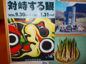 DSCN0549