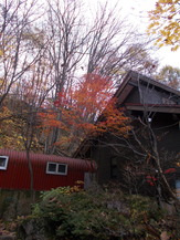 DSCN1198