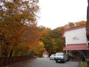 DSCN5775