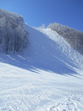 DSCN5128